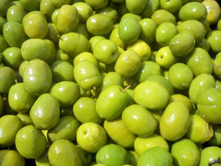 aceituna