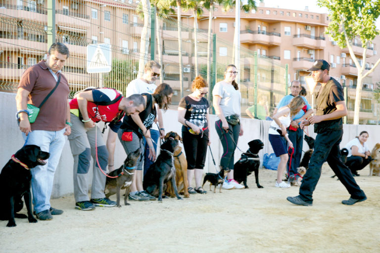 Escuelas Formativas y Talleres de Participación Ciudadana