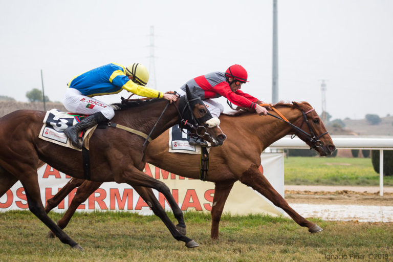 Gran Hipódromo de Andalucía