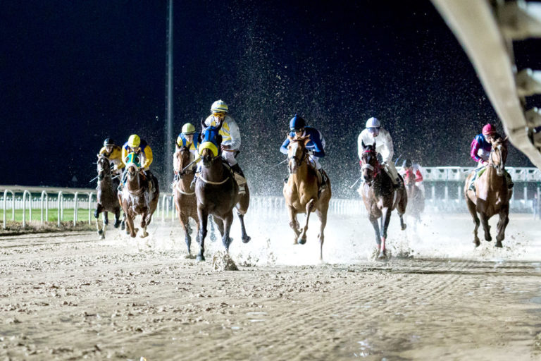 Gran Hipódromo de Andalucía