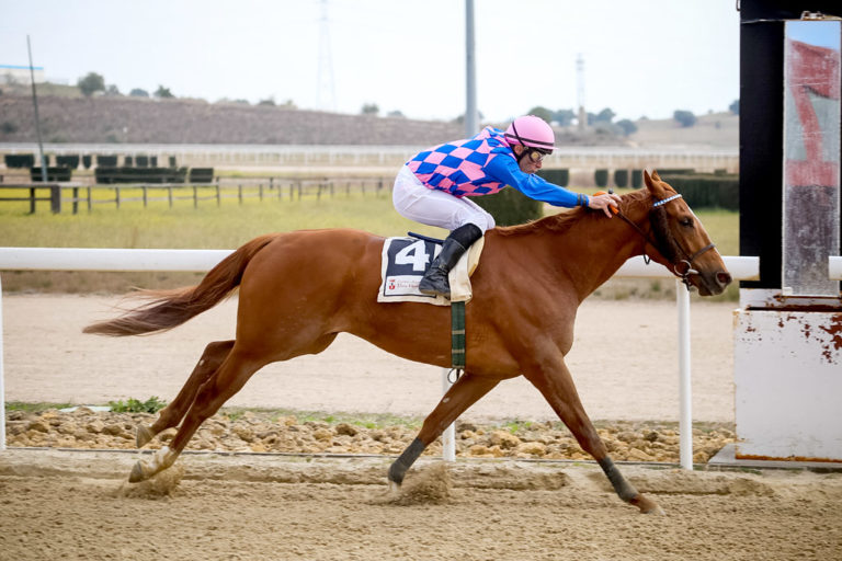 El Gran Hipódromo acoge mañana jornada nocturna de carreras