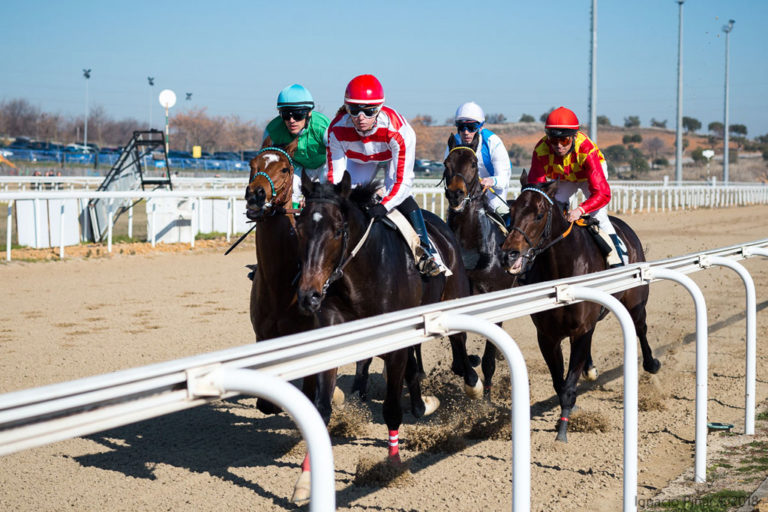 Gran Hipódromo de Andalucía